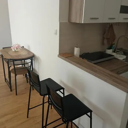 شقة Janicijevic 2 كراغوييفاك