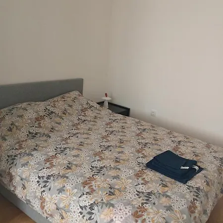 Janicijevic 2 Kragujevac